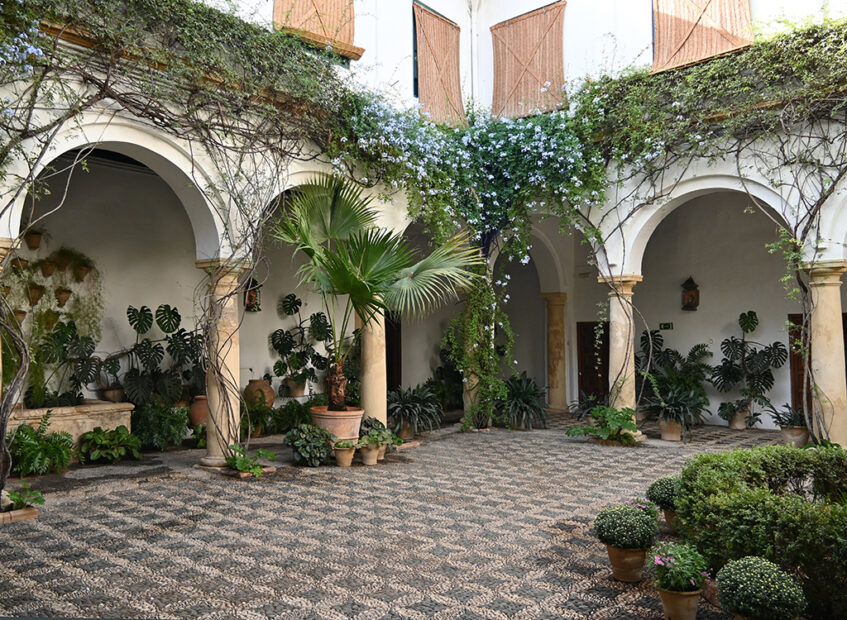 Córdoba | Palaces & Gardens – Cocoa & Lavender