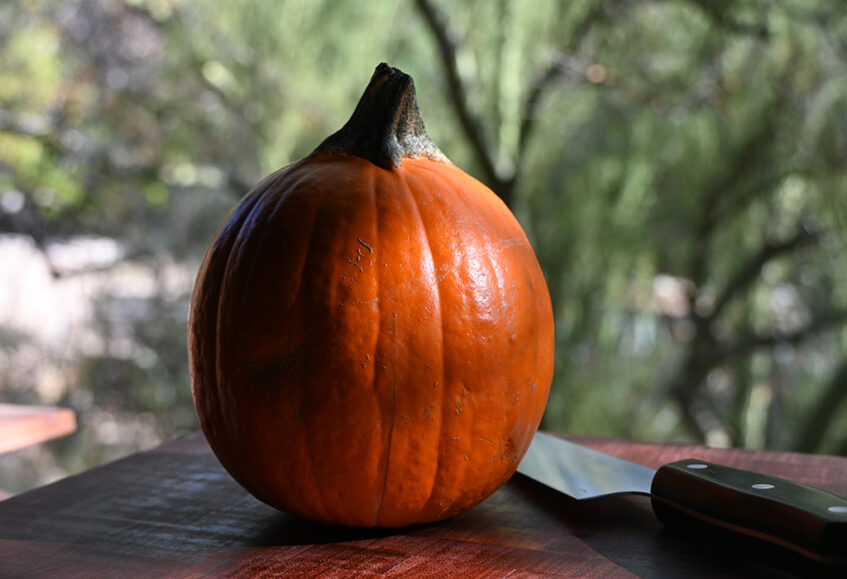 Recipe For Caponata Di Zucca Cocoa Lavender